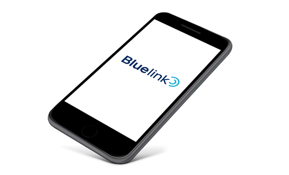 Upplev fördelarna med Bluelink®