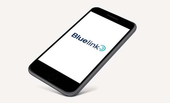 Bluelink®-appen